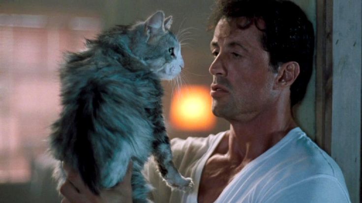 Stallone getting some pussy